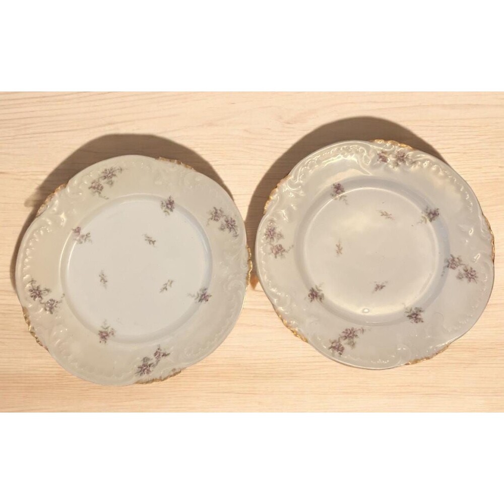 Set Of 2 Antique GDA Limoges GDA France Porcelain Dinner Plates